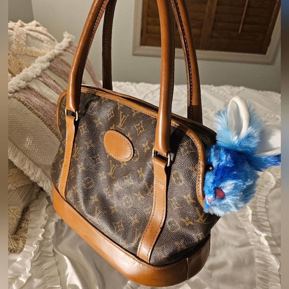 LOUIS VUITTON FRENCH COMPANY VINTAGE SAC CHEIN PET DOG CAT  CARRIER PURSE RARE